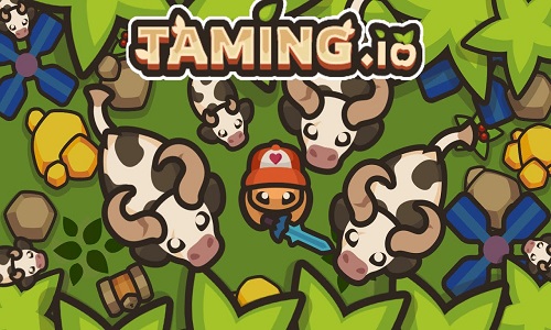 taming.io